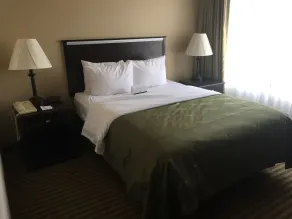 Quality Inn & Suites Indiana South - Chambre