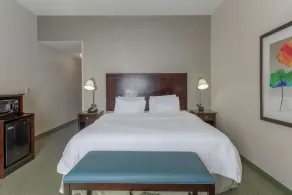 Hampton Inn Richmond - South - Chambre