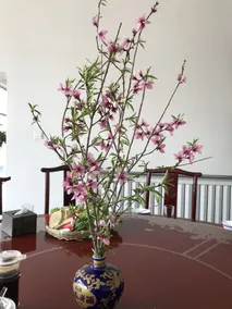 Manhong's Private Courtyard - Restaurant