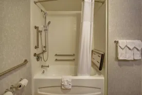 Hampton Inn Atlanta-Mall Of Georgia - Salle de bain