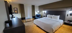 Comfort Inn & Suites North Dallas-Addison - Room
