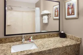 AmericInn by Wyndham Hudson - Baño