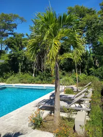 Palm Beach Inn - Pool