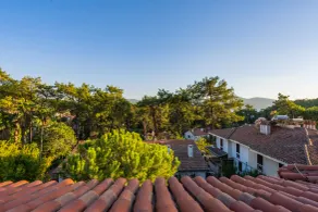 Liya Boutique Hotel & Suites - View from room