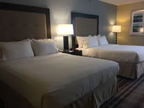 Holiday Inn Express Chicago NW - Arlington Heights by IHG - Chambre