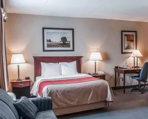 Comfort Inn - Room