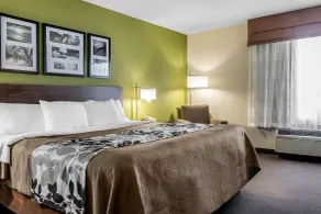 Sleep Inn & Suites Dothan North - Chambre
