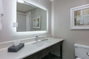 La Quinta by Wyndham Weatherford - Salle de bain