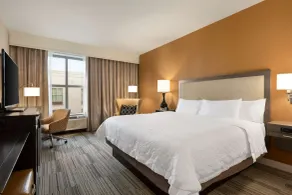 Hampton Inn & Suites Roanoke-Downtown - Chambre