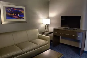 Holiday Inn Express Sidney by IHG - Værelse