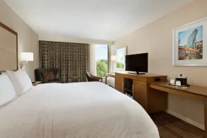 Hampton Inn Atlanta Buckhead - Chambre