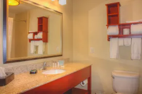 Wingate by Wyndham Steubenville - Bathroom