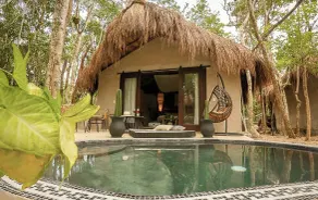 The Yellow Nest Tulum - Zimmer
