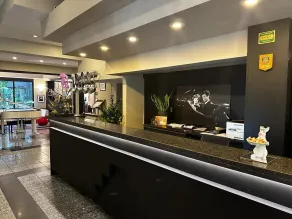 Hotel Comtur - Reception