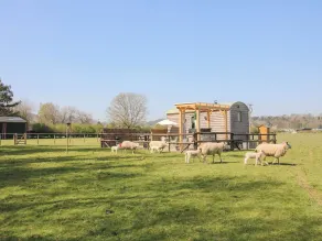 Balwen Shepherd's Hut - Diverse