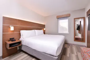 Holiday Inn Express New Orleans - Arts District by IHG - Chambre