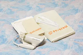 Yokohama Sakuragicho Town Hotel - Camera