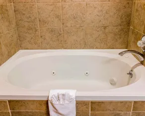 Quality Inn Auburn Hills - Detroit North - Salle de bain