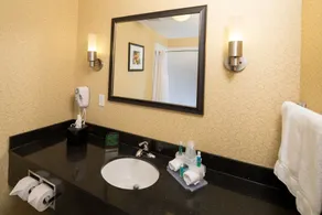Holiday Inn Express and Suites Detroit North-Troy by IHG - Salle de bain