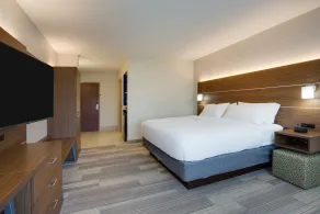 Holiday Inn Express Hotel & Suites Tampa-Fairgrounds-Casino by IHG - Chambre