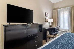 Comfort Inn & Suites Atlanta-Smyrna - Chambre