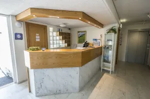 Hotel Orkin - Reception