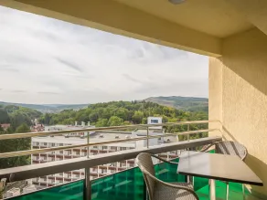 Ensana Bradet - View from room