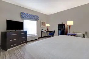 Hampton Inn & Suites Tampa Northwest/Oldsmar - Chambre