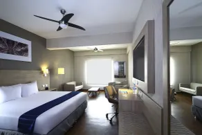 Casa Andina Select Tacna - View from room