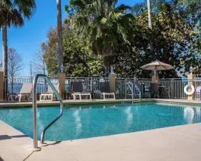 Comfort Suites Clearwater - Dunedin - Piscine