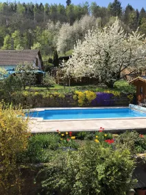 Ferienwohnungen Ries - Pool