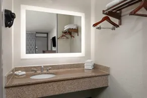 Days Inn by Wyndham Orlando Conv. Center/International Dr - Salle de bain