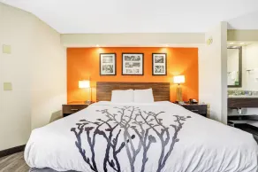 Wingate by Wyndham Leesburg Florida - Chambre
