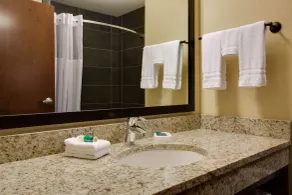 Drury Plaza Hotel Pittsburgh Downtown - Salle de bain