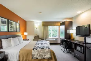 Sleep Inn And Suites Danville - Chambre