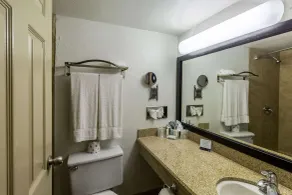 Clarion Inn near McAllen Airport - Salle de bain