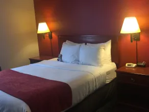 Comfort Inn & Suites University - Room