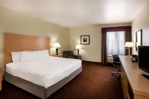 La Quinta by Wyndham Odessa North - Chambre