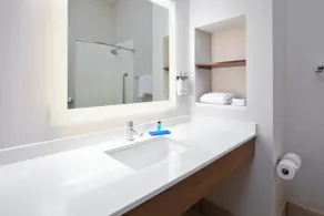 Holiday Inn Express Hotel & Suites Athens by IHG - Salle de bain