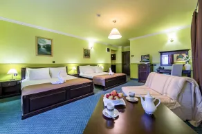 Hotel Bitoraj Fužine - Zimmer