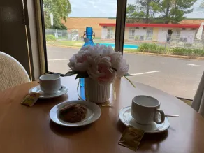 Apollo Motel Parkes - View from room