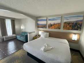 Days Inn & Suites by Wyndham Tuscaloosa - Univ. of Alabama - Rom