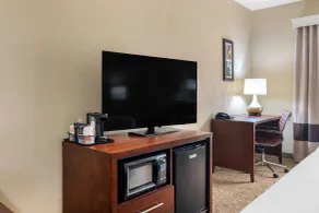 Comfort Inn & Suites Griffin North - Chambre