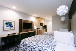 Palace Inn Blue Houston East Beltway 8 - Room