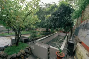 Summit Bougainvillea Tea Resort - Pool