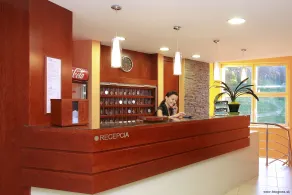 Horský hotel Remata - Réception