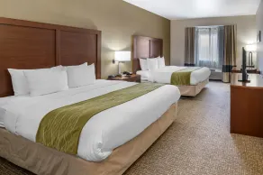 THE ATRIUM HOTEL SFO AIRPORT - FREE Shuttle & Breakfast - Chambre