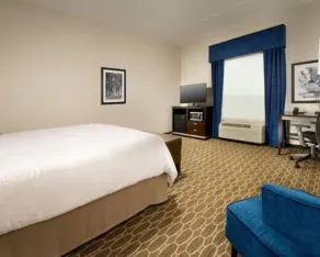 Hampton Inn & Suites Washington DC North/Gaithersburg - Chambre