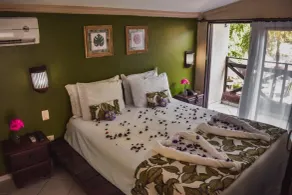 Pousada Recanto da Coruja - Room