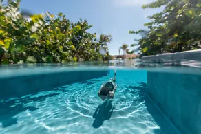 Palmaïa The House of AïA All Inclusive Wellness Resort - Piscine